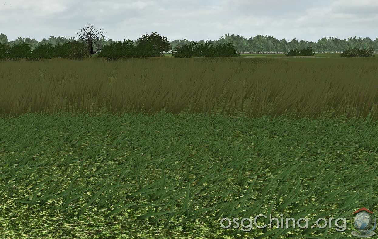 grass.jpg